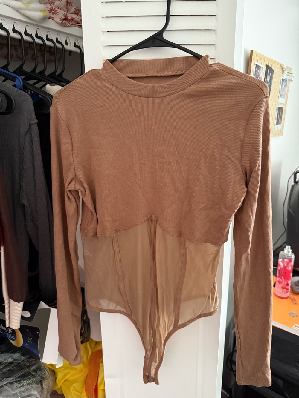 Long Sleeve Mesh-Panel Bodysuit in Brown